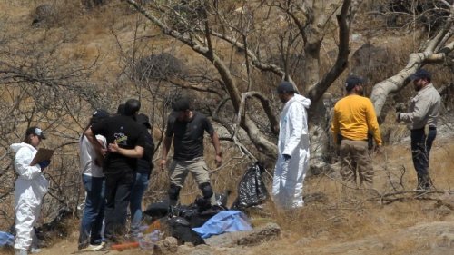 Mexico police find 45 bags containing body parts ‘matching characteristics’ of missing call center staff