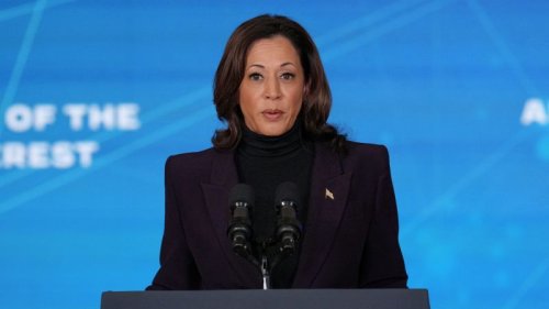 VP Harris announces new requirements for how federal agencies use AI technology