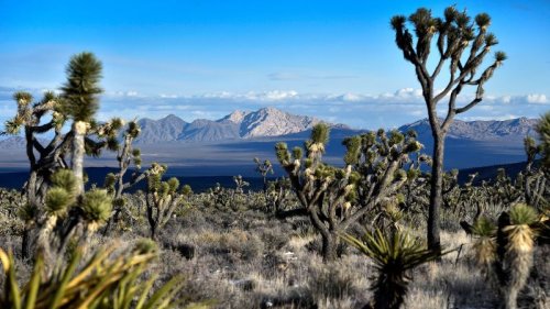 Biden to designate area sacred to tribes as largest national monument of his presidency