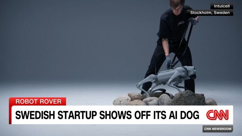 Innovation - cover