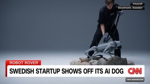 Swedish startup shows off its AI dog