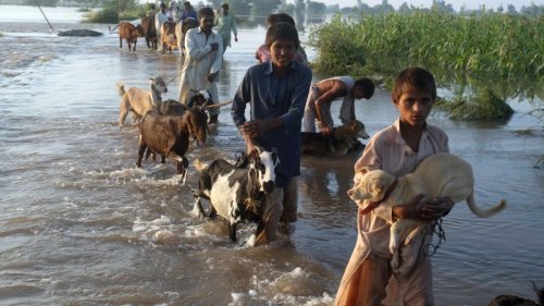 Relief efforts in India and Pakistan hampered by destroyed infrastructure