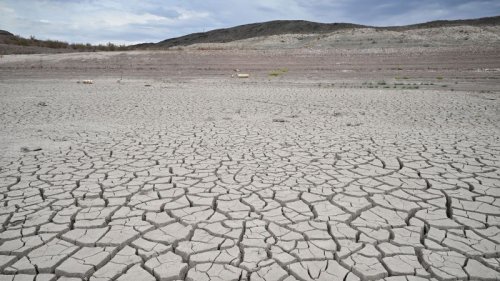 Northern Hemisphere’s extreme summer drought ‘virtually impossible’ without human-made climate change