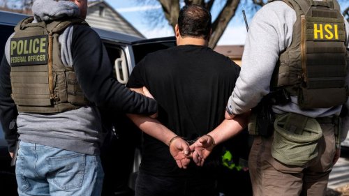 DOGE is building a master database for immigration enforcement, sources say
