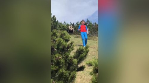 Nail-biting video shows brown bear following child on family hike
