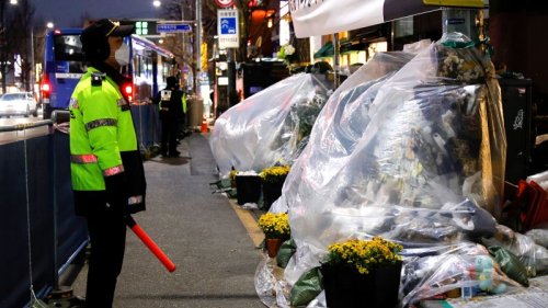 Two former Seoul police officers arrested over deadly Halloween crush