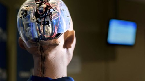 Experts warn AI could pose ‘extinction’ risk for humanity