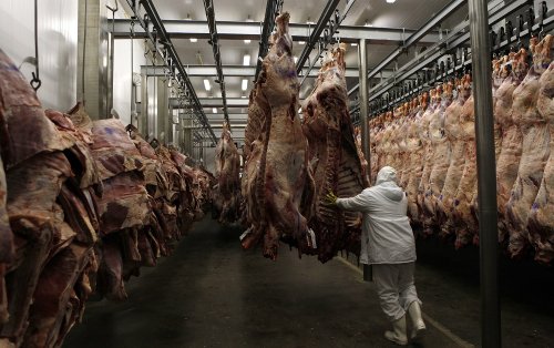 Marfrig tem lucro líquido de R$ 88 milhões no 1º trimestre, alta de 40,3% | CNN Brasil