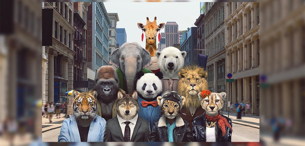 Ces animaux stars menacés d’extinction