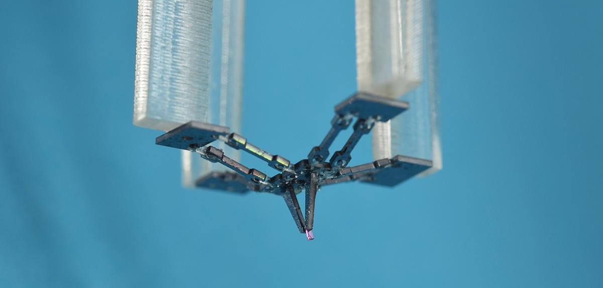 Voici le microrobot le plus rapide du monde