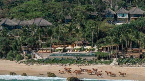 What Happens When You Let a Horse Read Your Emotions? I Found Out on a Remote Indonesian Island