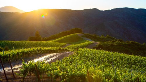 An Essential Guide to Sonoma, California’s Wine and Culinary Wonderland