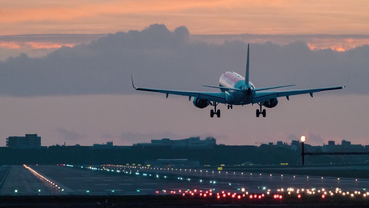 Can You Bring Food on a Plane? The Surprising Dos and Don'ts