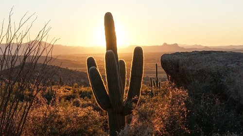 In Tuscon, the Food Reflects the City's Distinct Culture and Local Pride