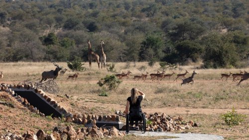 This Wheelchair-Accessible Safari in South Africa Should Be the Future of Adventure Travel