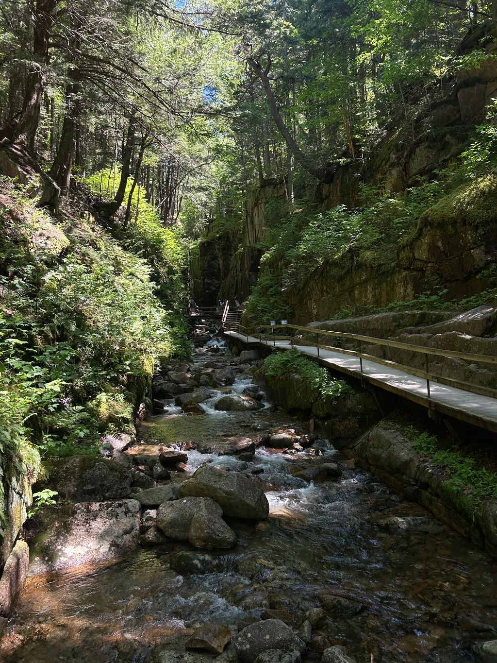 17 Ultra-Scenic Road Trips in the USA Worth Every Single Mile