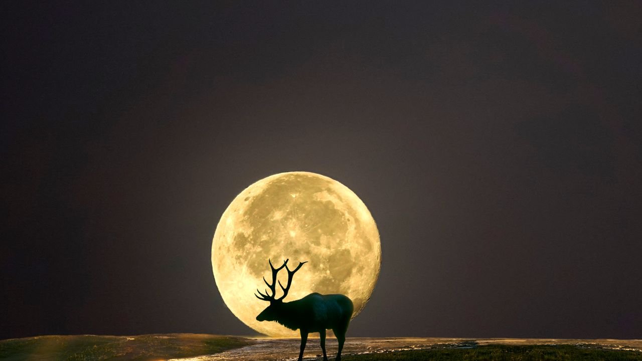 Tomorrow’s full Buck Moon will be the most powerful of the year