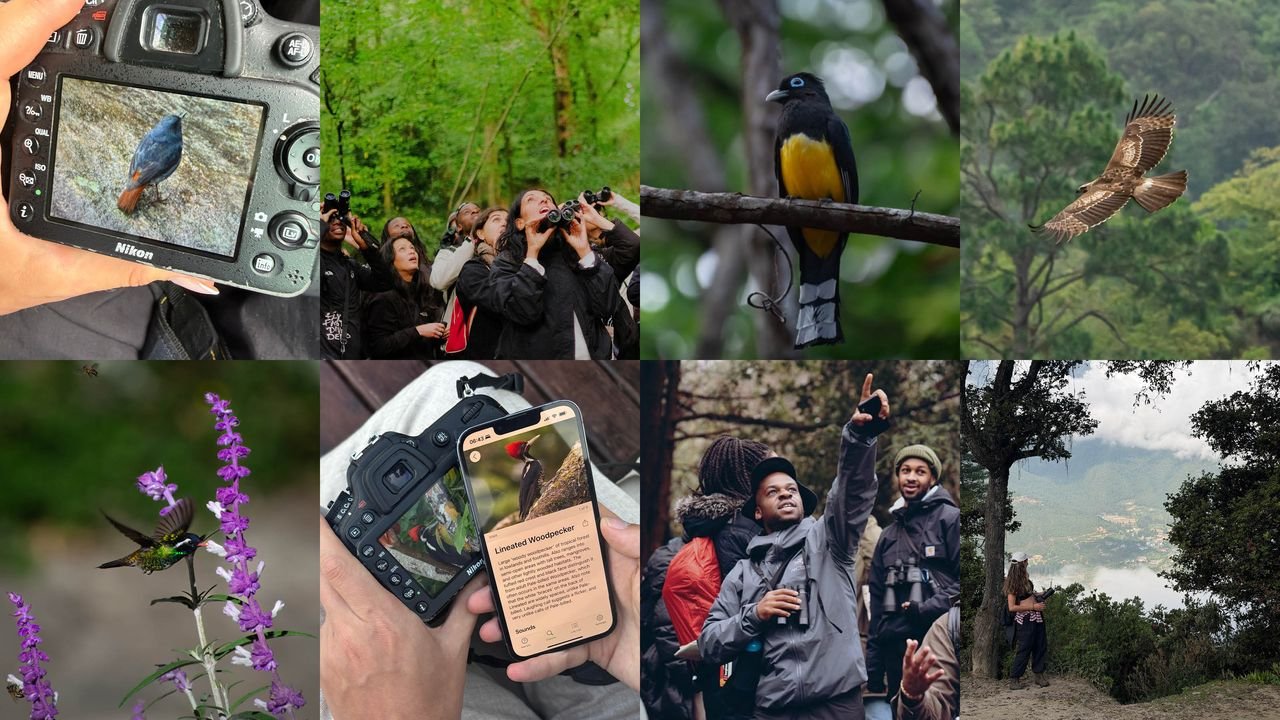 Birdwatching taught me how to be present while travelling – I'm not surprised Gen Z are catching on