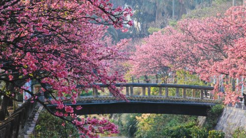 12 incredible things to do in Japan on your next trip, according to a local