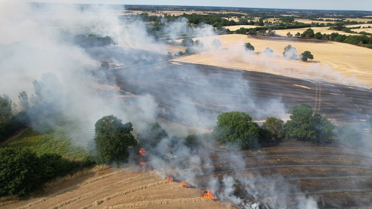 Wildfires UK risk: areas most at risk as Suffolk is declared a major incident