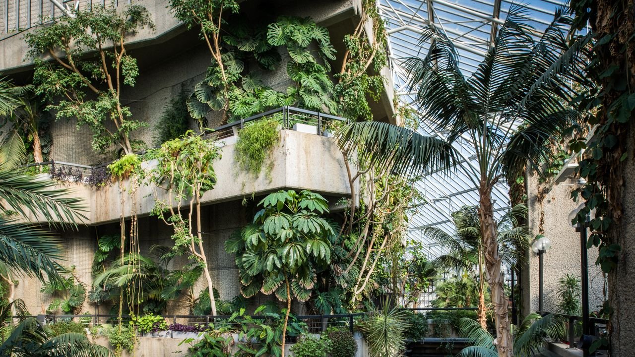 Londoners can now take home a piece of the Barbican Conservatory before its three-year closure – here's how