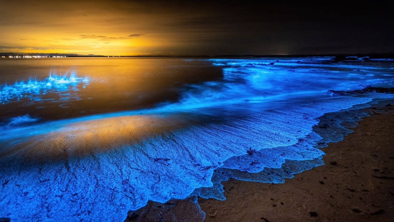 11 best places to see bioluminescence for awe-inspiring adventures