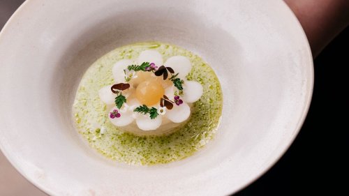Solo-Dining in Wien: Wo man in der Hauptstadt Österreichs auch gut alleine essen geht
