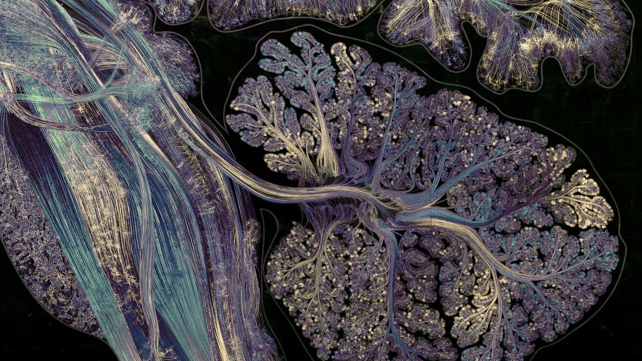 Alles Kopfsache? Die Wellness-Szene hat die neuronale Gesundheit entdeckt