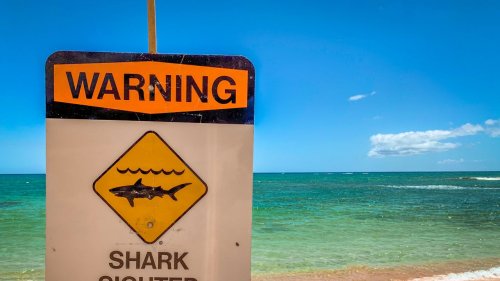 Schwimmen verboten: Die 10 gefährlichsten Strände der Welt