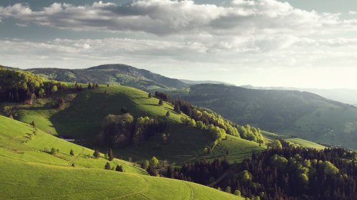 Weingenuss oder Glück im Casino: Die 10 schönsten Tagesausflüge in Baden-Württemberg