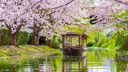 Die 13 besten Sehenswürdigkeiten in Japan