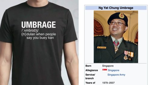 After SPH CEO’s meltdown, Singapore can't stop, won't stop using the word ‘umbrage’ | Coconuts Singapore