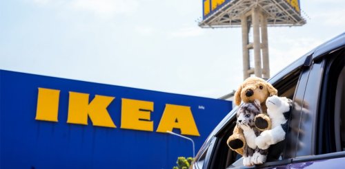 Pets now allowed to pick furniture with you at select IKEA stores