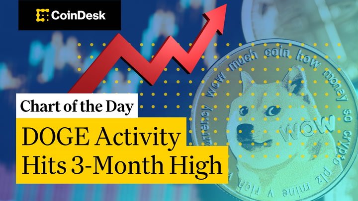 Whales Are Buying DOGE, Why Isn’t the Price Moving?