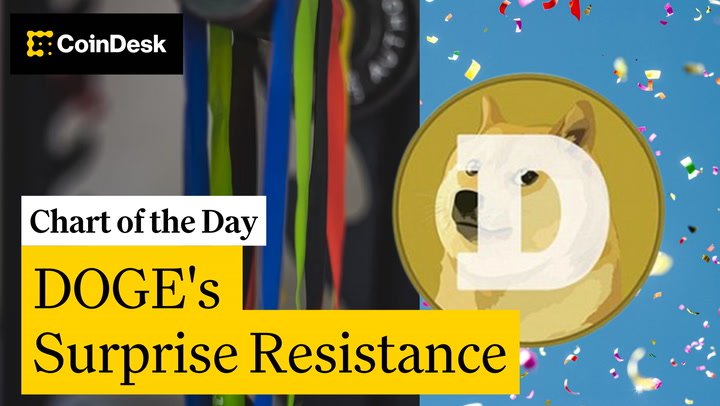 DOGE Defies Crypto Market Fragility