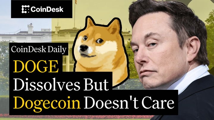 DOGE Surges to $0.145 as D.O.G.E Calls It Quits