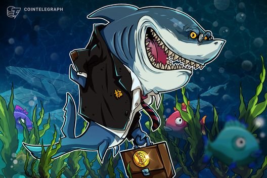 Bitcoin ‘sharks’ add 65K BTC in a week in key demand rebound