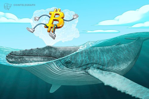 Bitcoin whale from 2010 moves 100 BTC for first time in 11 years