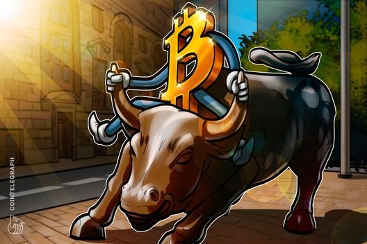Strike CEO Jack Mallers dismisses idea that Wall Street threatens Bitcoin
