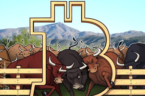 Bitcoin Price Bullrun May Last 1000 Days as 2020 Now Best Average Year