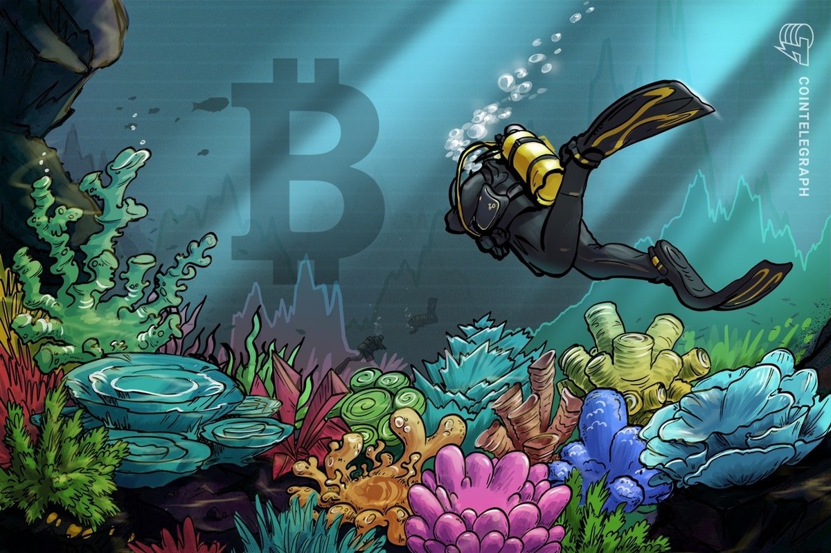 Bitcoin price bottom due 'this week' with BTC down 20% in November