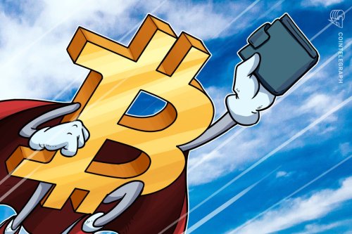 Bitcoin Addresses Worth $100,000 or More Hits All-Time High