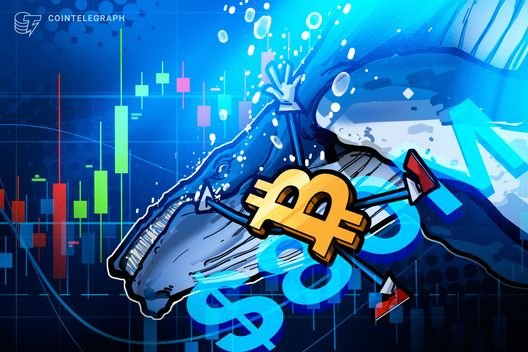 Hyperliquid whale makes $80M bet on market crash: Is Bitcoin in trouble?