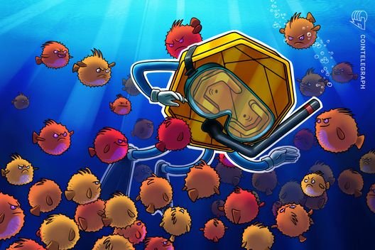38% of altcoins near all-time lows, worse than FTX crash: Analyst