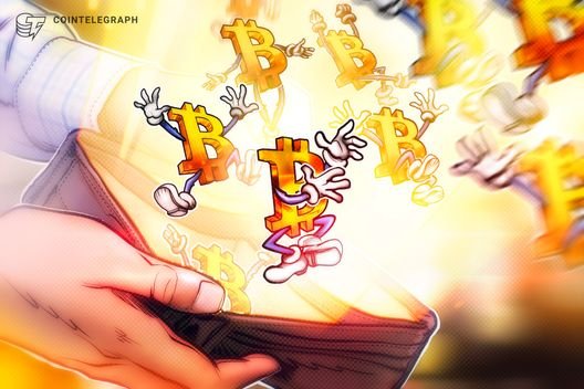 Bitcoin wallets absorb 4.37M BTC as network activity flips to 'bull phase’