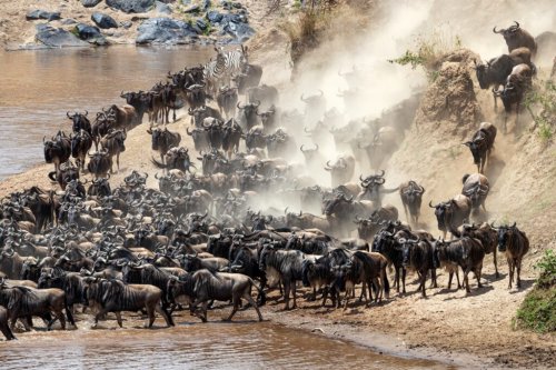 Serengeti National Park: Where the Wild Roams Free