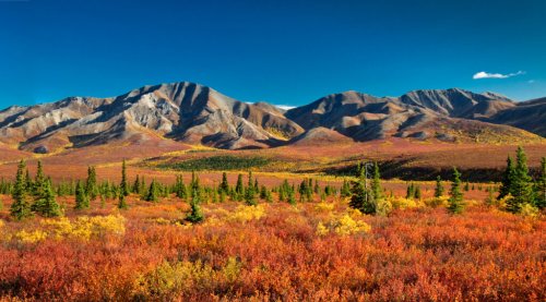 Want to See the Most Stunning Fall Foliage in the US? Here’s Where to Go!