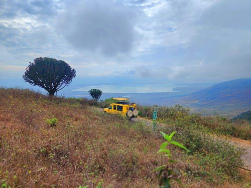 Ngorongoro Conservation Area: A Natural Wonder of Tanzania