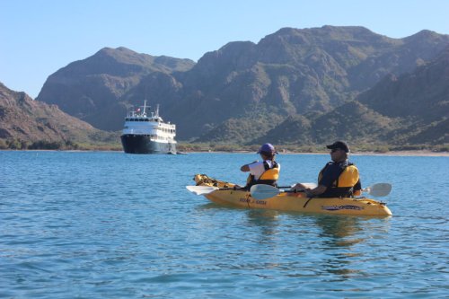 Sea of Cortez Cruises – A Complete Guide to Ports, Routes, and Adventures