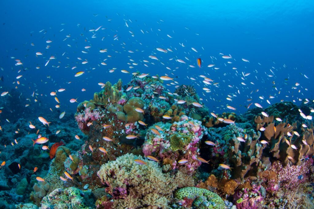 All Things Scuba - cover